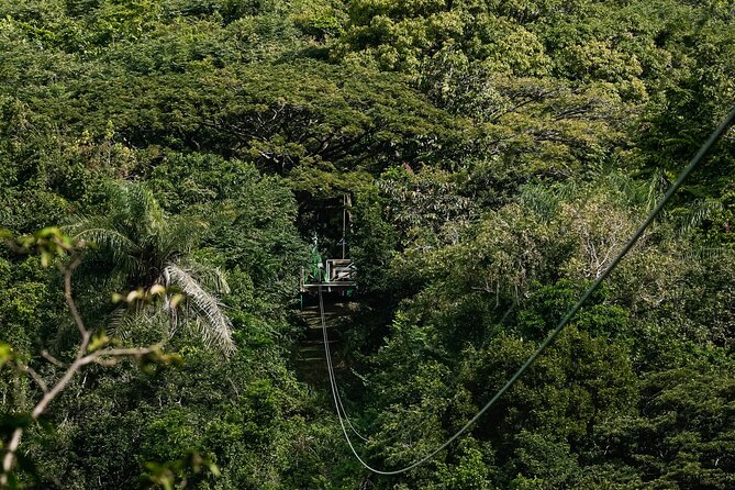 St. Kitts Zipline Experience - The briefing and first line