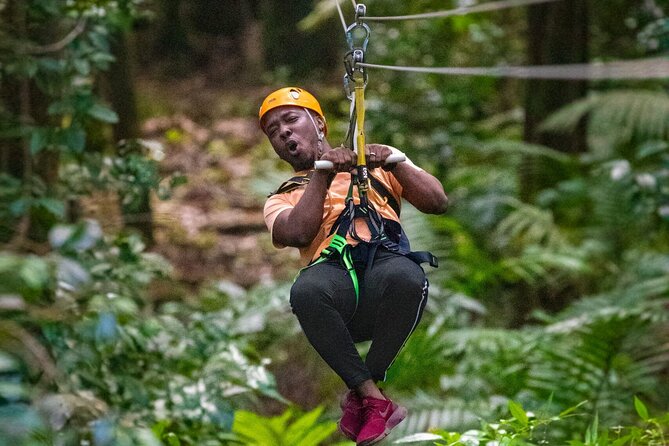 St. Lucia 3 in 1 Combo: Aerial Tram, Rainforest Trail & Zipline - Quick take on the St. Lucia 3 in 1 Combo