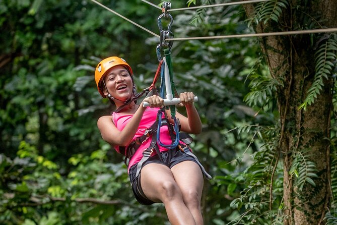 St. Lucia 3 in 1 Combo: Aerial Tram, Rainforest Trail & Zipline - Reaching the Castries Waterworks Reserve