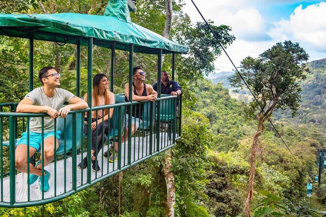 St. Lucia 3 in 1 Combo: Aerial Tram, Rainforest Trail & Zipline - The aerial tram gives you a quiet first look