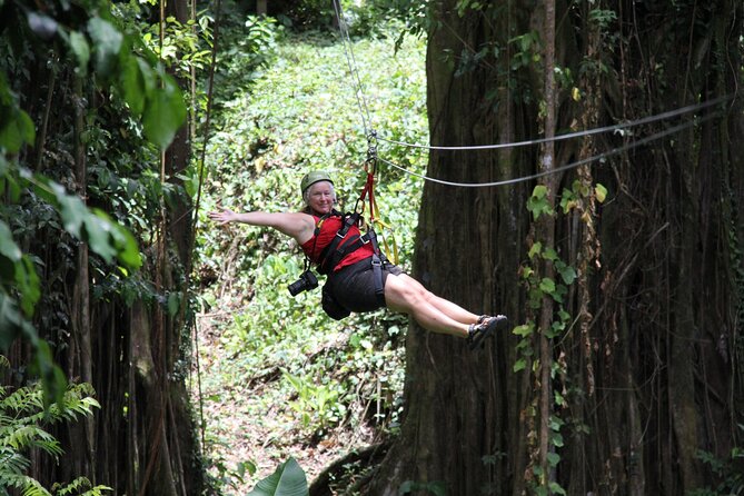 St. Lucia Morne Coubaril Estate Zipline Experience - The best time to choose a departure