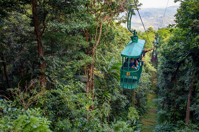 St Lucia Ultimate 3: Aerial Tram, Zipline and Hiking at Rainforest Adventures - Key points to know before you book