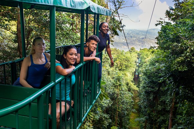 St Lucia Ultimate 3: Aerial Tram, Zipline and Hiking at Rainforest Adventures - The walk to the canopy course