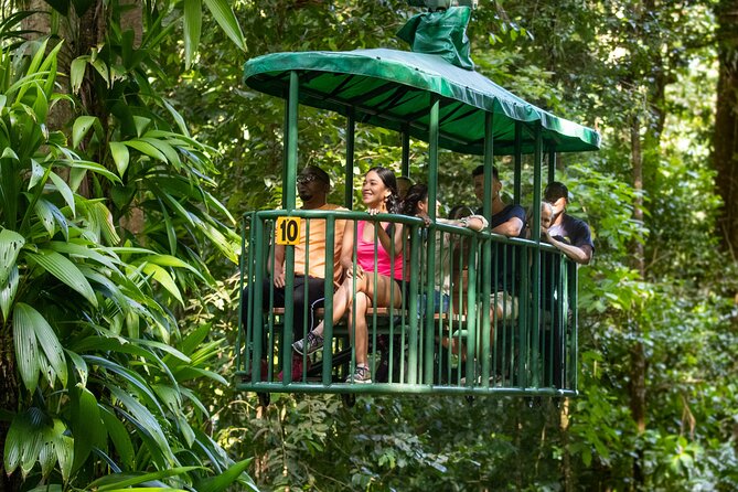 St Lucia Ultimate 3: Aerial Tram, Zipline and Hiking at Rainforest Adventures - Eight zip lines and 16 platforms