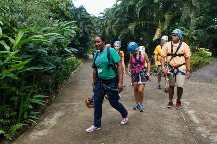 St Lucia Ultimate 3 Package: Aerial Tram Zip Line & Hiking - Key points to know before you go