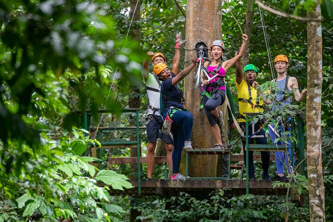 St Lucia Ultimate 3 Package: Aerial Tram, Zipline and Hiking - Reaching the Castries Waterworks Forest Reserve
