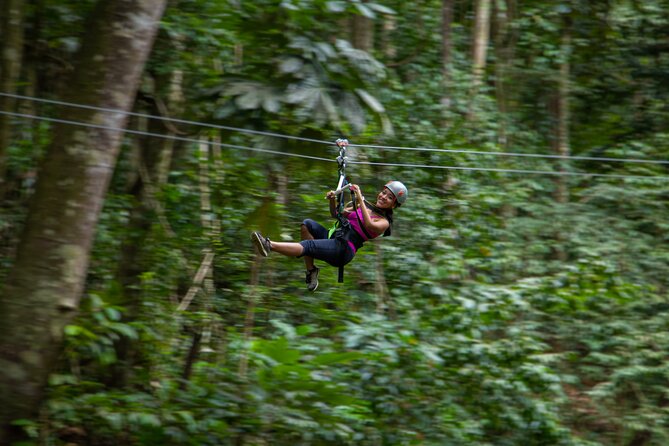St Lucia Ultimate 3 Package: Aerial Tram, Zipline and Hiking - The canopy zipline: eight lines and nine platforms