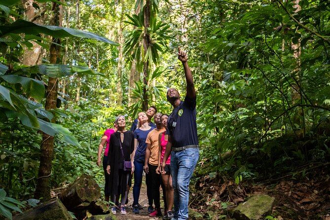 St Lucia Ultimate 3 Package: Aerial Tram, Zipline and Hiking - Guides, group size, and the feel of the outing