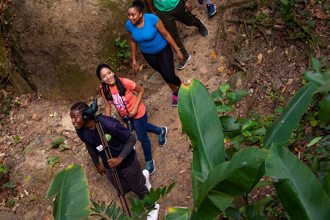 St Lucia Ultimate 3 Package: Aerial Tram, Zipline and Hiking - Is $109 a good value?
