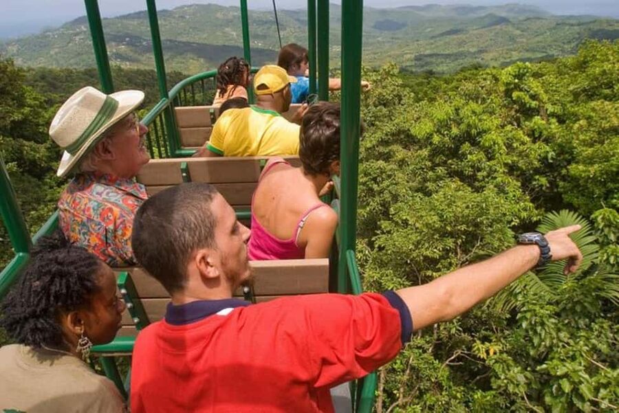St. Lucia: Zip Line, Aerial Tram, and Hiking Tour - Reaching the Castries Waterworks Forest Reserve