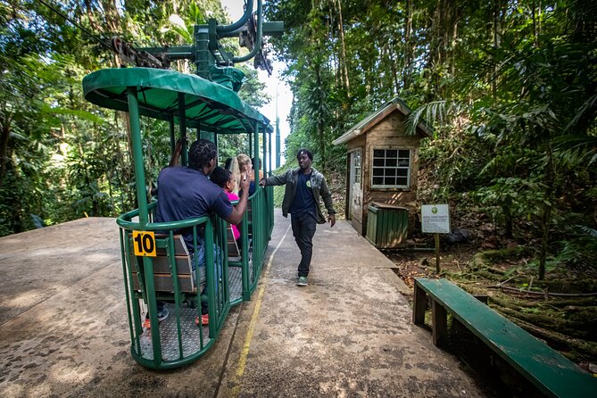 St. Lucia Zip line, Aerial Tram and Hiking tour Ultimate 3 - What the Ultimate 3 experience is really like