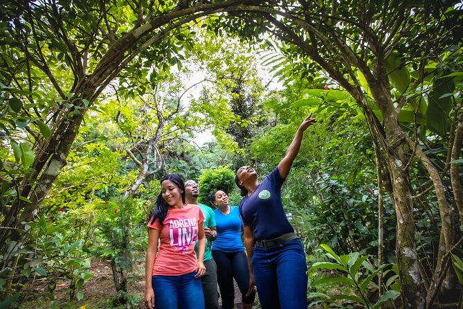 St. Lucia Zip line, Aerial Tram and Hiking tour Ultimate 3 - Walking from the top station to the zipline platforms