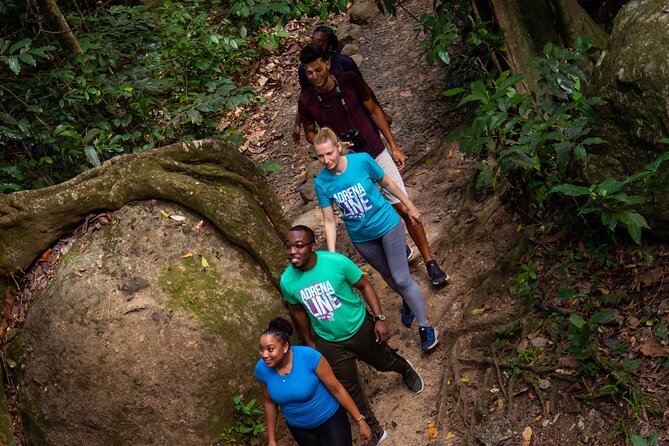 St. Lucia Zip line, Aerial Tram and Hiking tour Ultimate 3 - Eight zip lines across 16 forest platforms