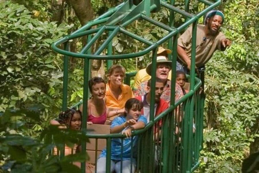 St. Lucia: Zip Line, Aerial Tram, and Hiking Tour - The aerial tram gives you a gentle introduction