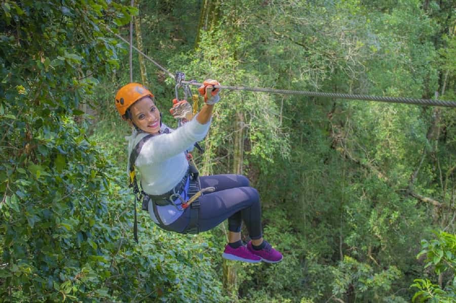 Storms River: Tsitsikamma National Park Zipline Canopy Tour - Moving from platform to platform through the canopy