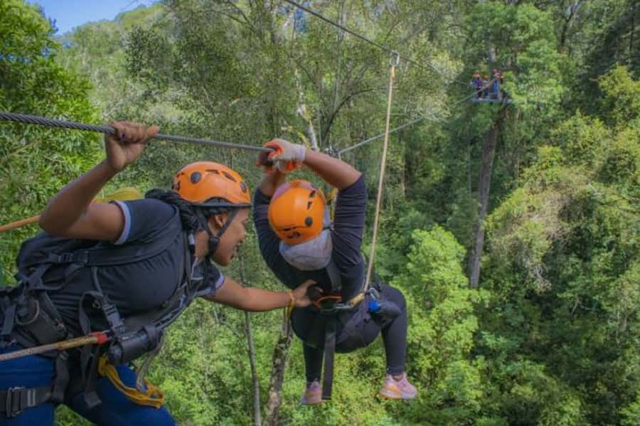 Storms River: Tsitsikamma National Park Zipline Canopy Tour - What the height feels like for nervous participants