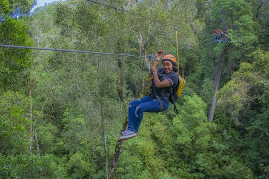 Storms River: Tsitsikamma National Park Zipline Canopy Tour - The final 600-meter hike changes the workout