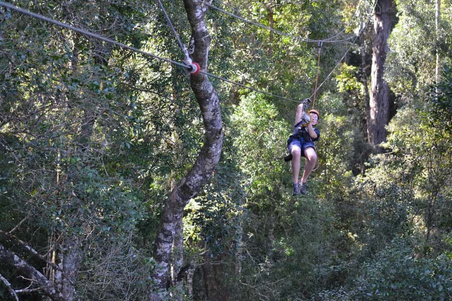 Storms River: Tsitsikamma National Park Zipline Canopy Tour - Is $55 good value?