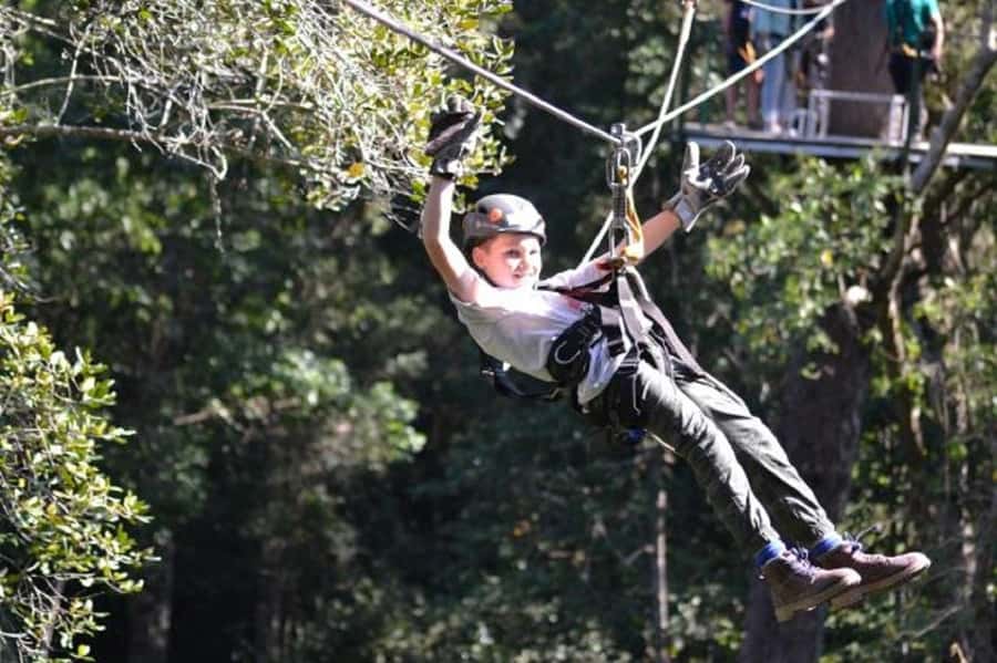 Storms River: Tsitsikamma National Park Zipline Canopy Tour - The safety briefing comes before the thrills