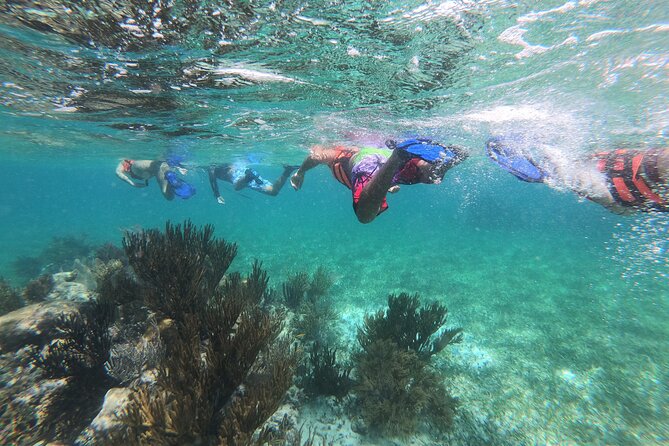 Super Combo ATV in Cancun with Zipline, Snorkel, Cenote, transfer - A full adventure day from Cancun to Puerto Morelos