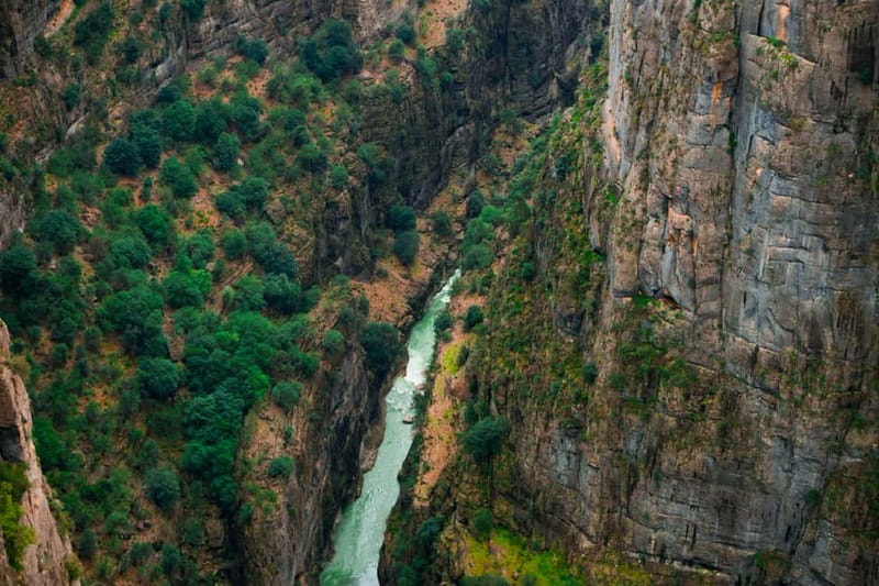 Super Combo: Ziplining, Rafting, Jeep & Buggy Safari w/Lunch - Forty minutes behind the wheel of a buggy