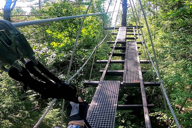 Superman Zipline Tour in Morningside - Suspension Bridges Above the Stream