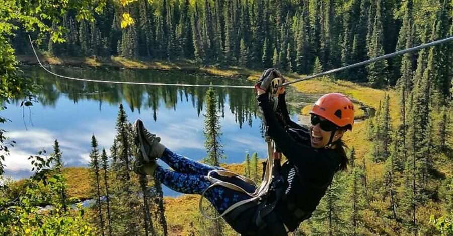 Talkeetna: Denali Zipline Tours - Key points to know before you book