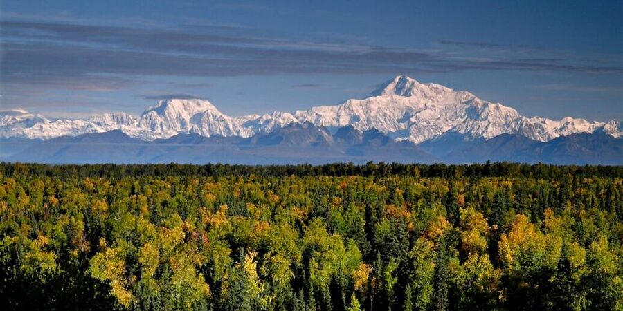 Talkeetna: Denali Zipline Tours - Getting fitted and learning the basics