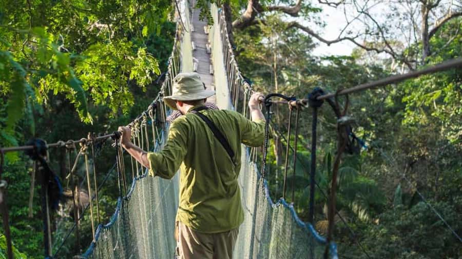 Tambopata: Zipline Adventure & Kayak to Monkey Island - Key points to know before you book