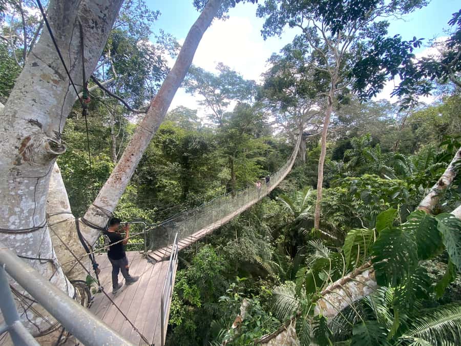 Tambopata: Zipline Adventure & Kayak to Monkey Island - Lunch at the lodge, with time to reset