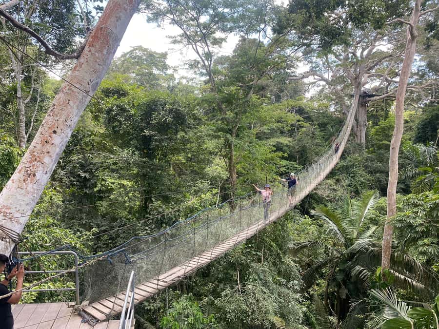 Tambopata: Zipline Adventure & Kayak to Monkey Island - Kayaking down the Madre de Dios River