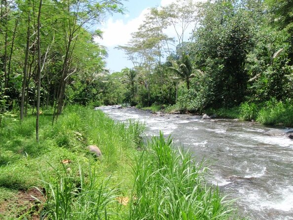Telaga Waja River Rafting Bali & Zipline (Less Stairs) - What the river route feels like