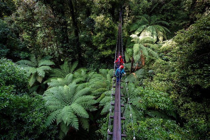 The Ultimate Canopy Zipline Experience Private Tour From Auckland - The 6:30 a.m. start and the road south