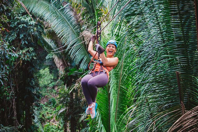 Thrilling Zipline Adventure at Bocawina Rainforest - A rainforest course with real zipline mileage