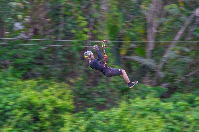 Thrilling Zipline Adventure at Bocawina Rainforest - Safety, height, and comfort