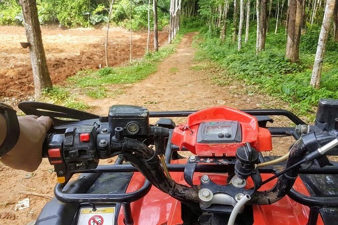 Thrilling Zipline Adventures at Thai'd Up in Krabi's Lush Jungle - What to wear and what to plan for