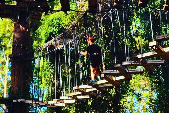 Top Rated Atlas Mountains Zipline from Marrakesh - What the $59.85 price really covers