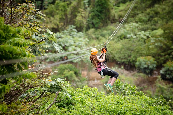 Toro Verde 7-Zipline Tour Plus the Beast with Pickup - The first ziplines build your confidence