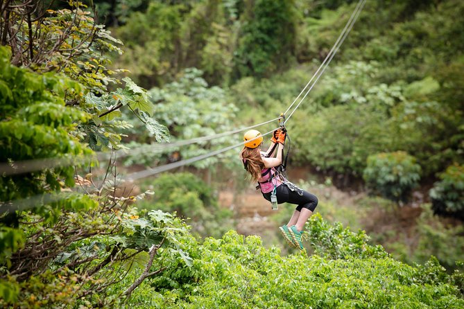 Toro Verde 7-Zipline Tour Plus the Monster with Transport - Eight lines, several platforms, and mountain views