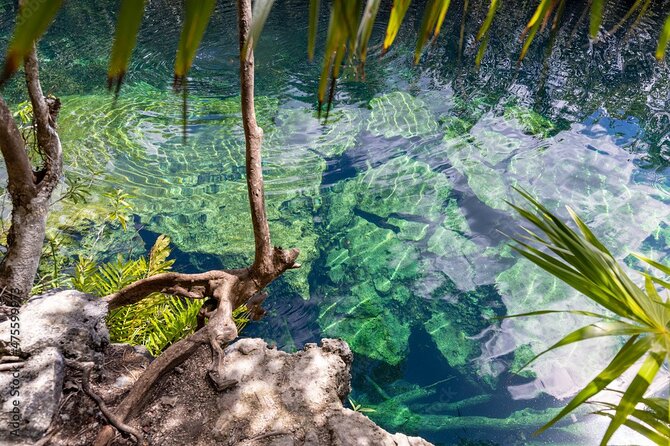 Tour 4 Cenotes Casa Tortuga Tulum. Food + Zipline. Includes Pickup. - What the Casa Tortuga day is really like