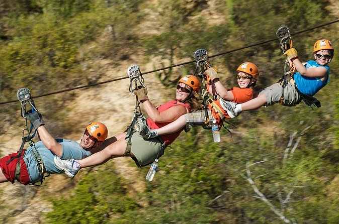 Tours Ziplines Punta Cana - What the service record tells you
