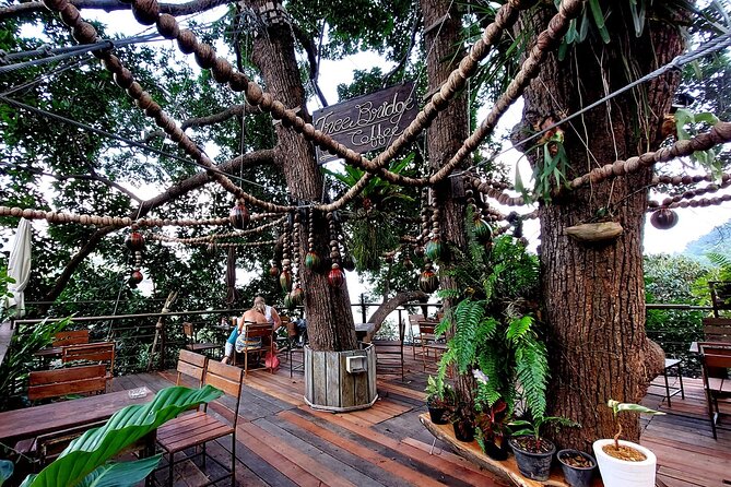 Tree Bridge Cafe And Zipline - Jungle Flight Adventure in Koh Samui - From hotel pickup to the Tree Bridge Cafe