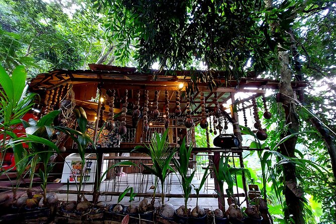 Tree Bridge Cafe And Zipline - Jungle Flight Adventure in Koh Samui - Tan Rua Waterfall and the forest setting