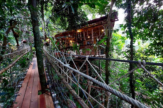 Tree Bridge Cafe And Zipline - Jungle Flight Adventure in Koh Samui - Tree Bridge Cafe: more than a waiting area