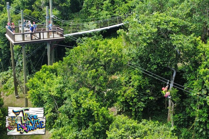 Tree Limin' Extreme Zipline - Two sky bridges and the views from the trees
