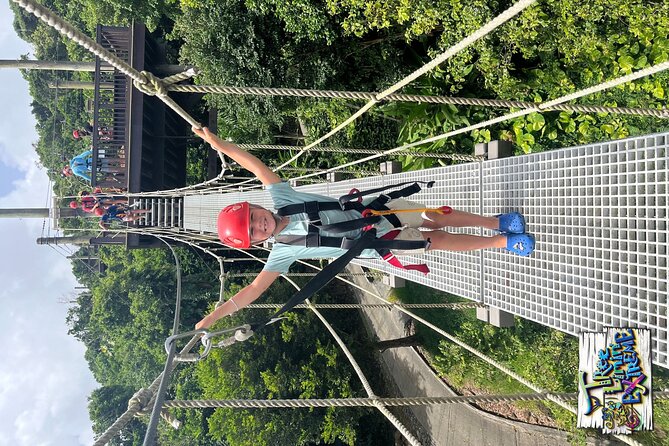Tree Limin' Extreme Zipline - How much value you get for $155
