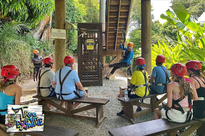 Tree Limin' Extreme Zipline - Six ziplines with a different feel on each