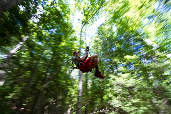 Tree Tops Zip Line Canopy Tour - Key Points Before You Book