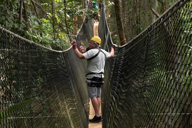 Treetop Adventure Park Canopy Tour - What makes this rainforest zipline tour worth considering