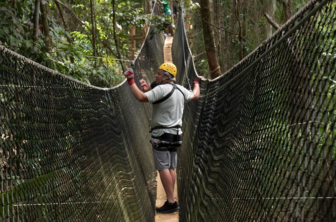 Treetop Adventure Park Canopy Tour - Timing tips for cruise passengers and hotel guests